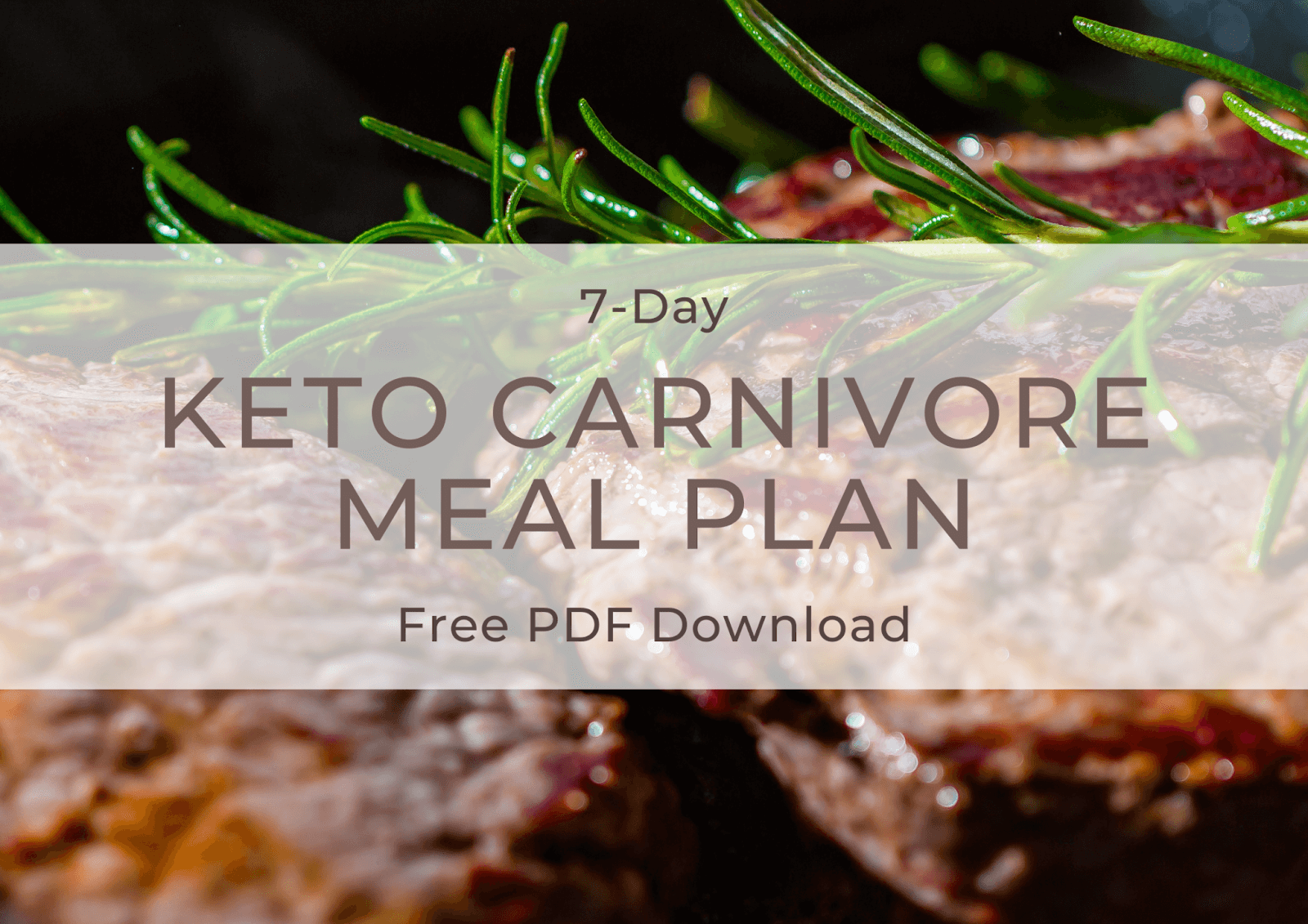 keto carnivore meal plan download cover